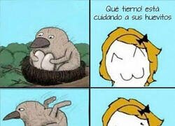 Enlace a ¡Qué ternura!