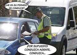 Enlace a Conductor ejemplar