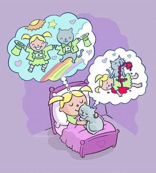 Meme_otros - Dulces sueños