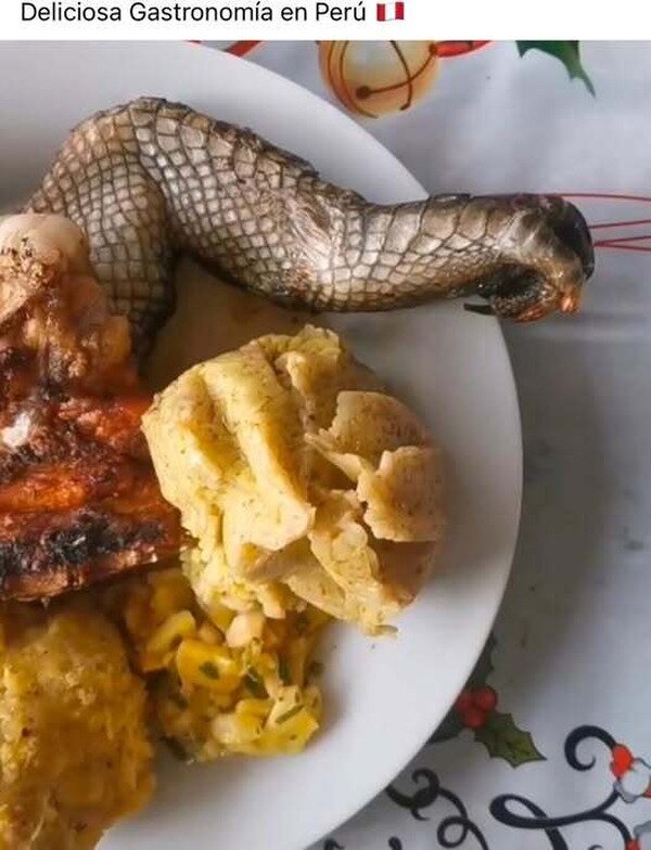 Meme_otros - No preguntes de qué animal es esa pata