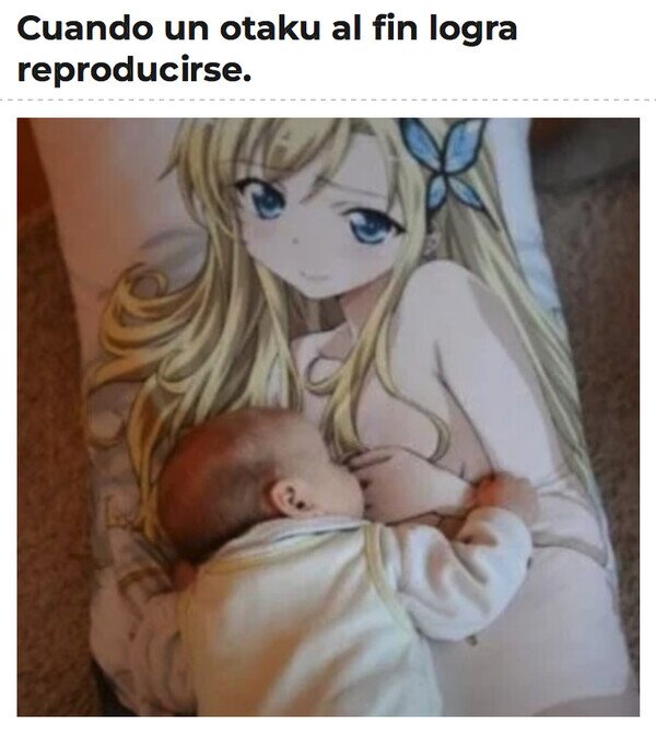 Otros - ¿Cómo lo hizo?