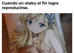 Enlace a ¿Cómo lo hizo?