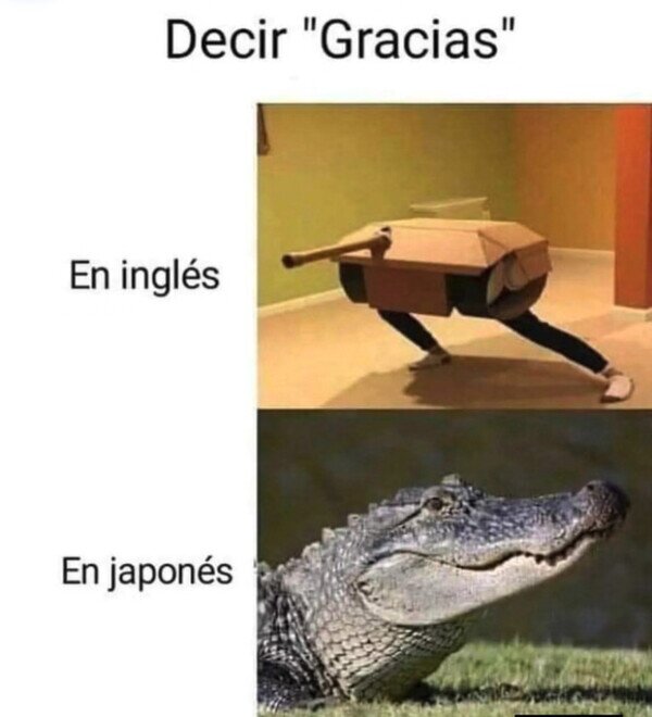 Meme_otros - Aprendiendo idiomas