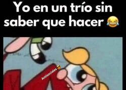 Enlace a Intento no molestar