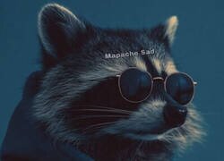 Enlace a Callando bocas