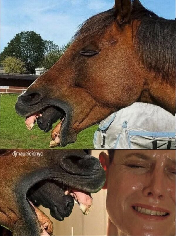 Meme_otros - El caballo alien