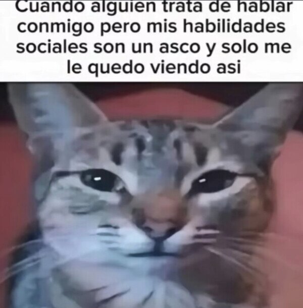 Meme_otros - La cara de un inepto social