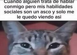 Enlace a La cara de un inepto social