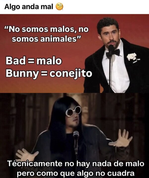 Bad Bunny,malos,animales,wtf