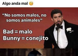 Enlace a Contradicciones del conejo malo