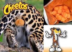 Enlace a De ahí les viene el nombre