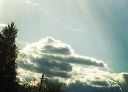 Enlace a Cuando le pido un deseo a Diosito