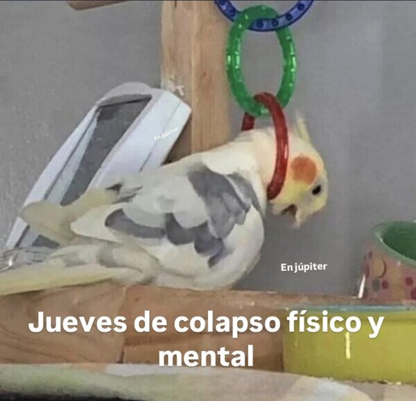 Otros - Que sea ya viernes, por favor