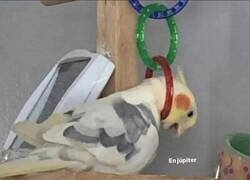 Enlace a Que sea ya viernes, por favor