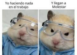 Enlace a Cuando me molestan en horario laboral
