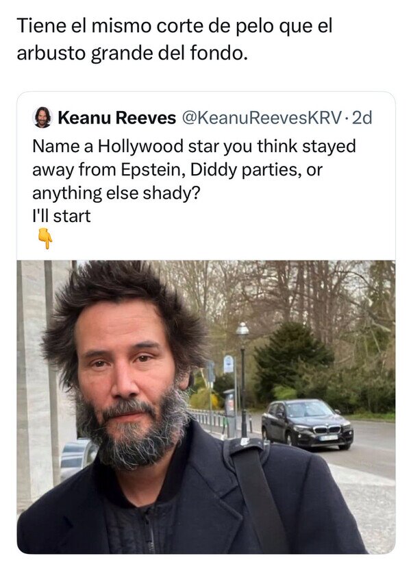 pelo,arbusto,Keanu Reeves