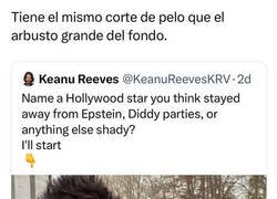 Enlace a Inspiración capilar