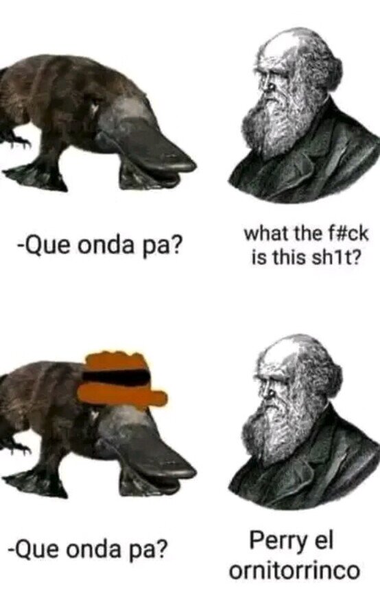 Meme_otros - Ahora sí