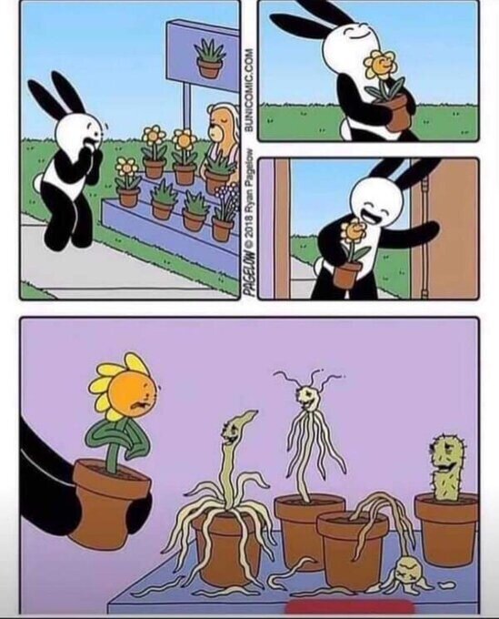 Meme_otros - Coleccionando plantas muertas