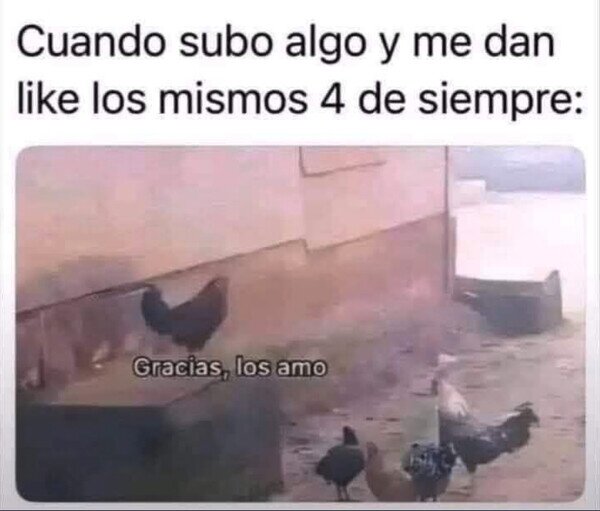 Otros - Mis fieles seguidores