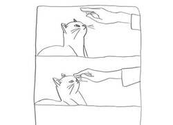 Enlace a Cuando intentas acariciar a un gato