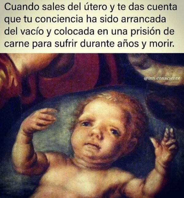 Meme_otros - Algunos le llaman 'vida'