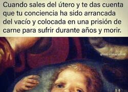 Enlace a Algunos le llaman 'vida'