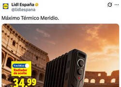 Enlace a Al CM de Lidl hay que subirle el sueldo