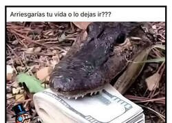 Enlace a ¿Quién se la está jugando aquí?