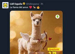 Enlace a Al CM de Lidl está sembrado