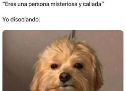 Enlace a Perdona, ¿decías algo?