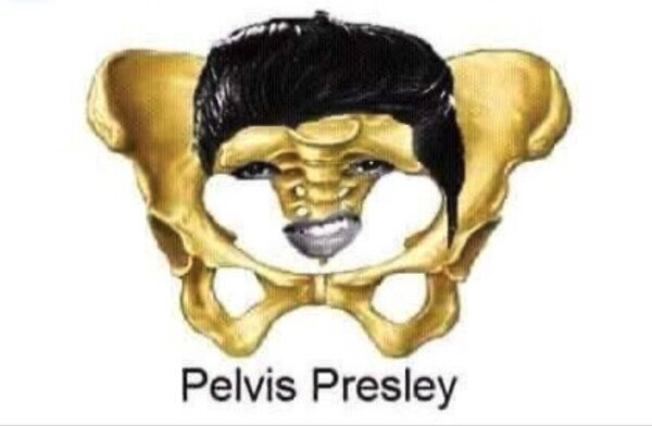 Otros - La tontería del día