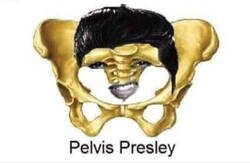 Enlace a La tontería del día