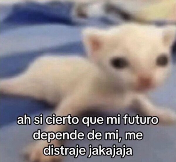 Meme_otros - No había caído