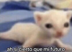 Enlace a No había caído