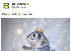 Enlace a Al CM de Lidl es mi padre