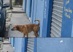 Enlace a Arte urbano