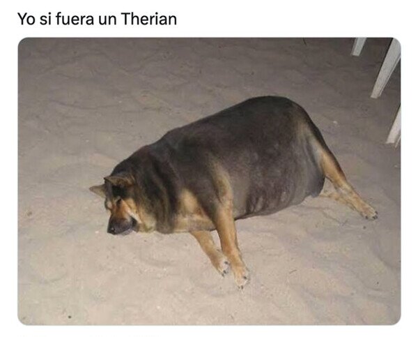 Otros - Me identifico como un perro gordo y vago