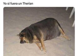 Enlace a Me identifico como un perro gordo y vago