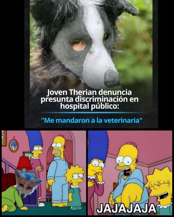 Otros - Problemas de therians