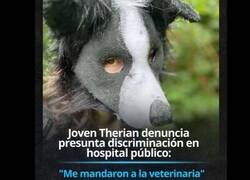 Enlace a Problemas de therians