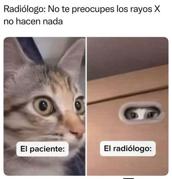 Meme_otros - ¿Por qué se esconde tanto entonces?