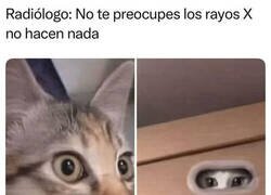 Enlace a ¿Por qué se esconde tanto entonces?