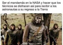 Enlace a No entiendo cómo no lo han hecho...