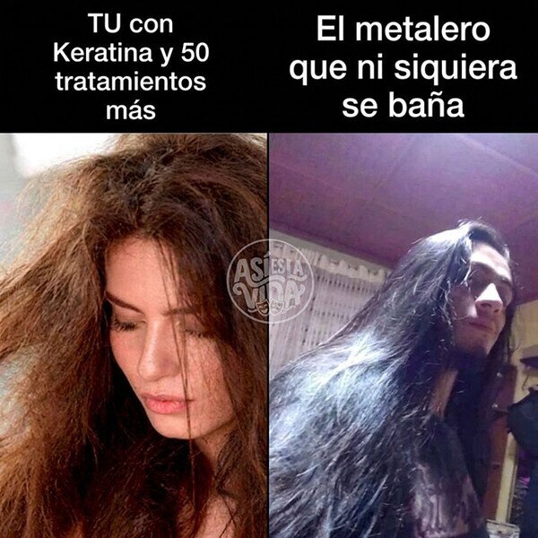 Meme_otros - La melena perfecta