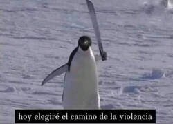 Enlace a También es lunes para el pingüino solitario