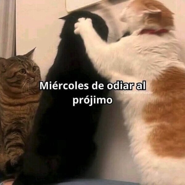 Meme_otros - Hoy es lo que toca