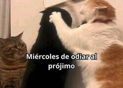 Enlace a Hoy es lo que toca