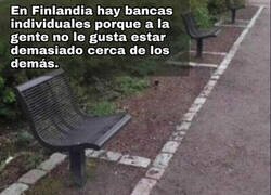 Enlace a Encontré mi sitio en el mundo