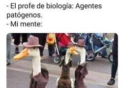 Enlace a Lo que viene a la mente